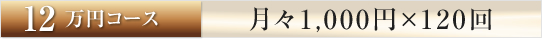 12万円コース：月々1,000円×120回